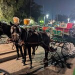 Photo taken by Jessica B