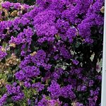 Photo taken by Martha D