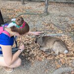 Photo taken by Melanie d