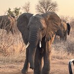 Photo taken by Janie W