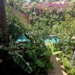 Photo taken by David M