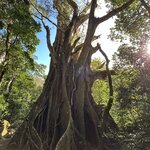 Photo taken by Peter B