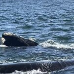 Photo taken by Joanne B