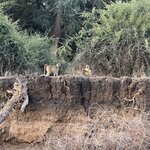 Photo taken by Brad P