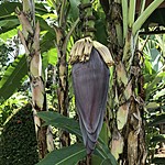 Photo taken by Michelle D