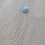 Photo taken by Cynthia D