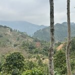 Photo taken by Susan R