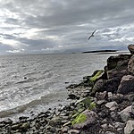 Photo taken by Sarah C