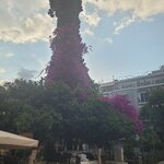 Photo taken by SHOSHANA S