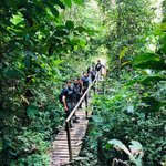 Amazon jungle walk | Photo taken by Elisa M