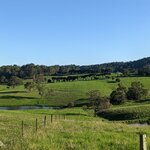 Photo taken by Daniel S