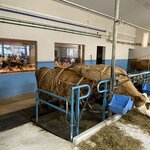 Photo taken by Tim Z