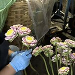 Photo taken by Fuad A