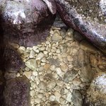 Photo taken by Kay M