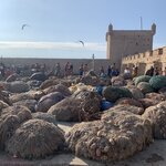 Photo taken by Cynthia F