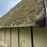 Photo taken by Jill B