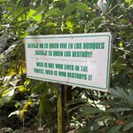 Photo taken by Kevin S