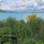 Photo taken by Rand M