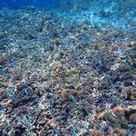 Photo taken by Dixie W