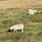 Photo taken by David L