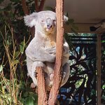 Photo taken by Maggie W