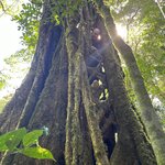 Photo taken by Darcy M