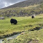 Photo taken by Janice R