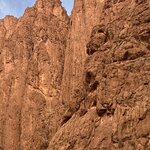 Photo taken by Raelene S