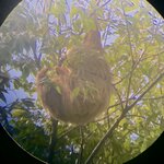 Photo taken by Luke T