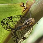 Photo taken by Touraj K