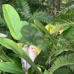 Photo taken by Anna A