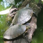 Photo taken by Tracye P