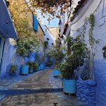 Photo taken by Mike K