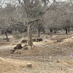 Photo taken by Mary R