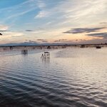 Photo taken by Jacqui O