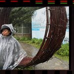 Photo taken by Dennis H