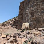 Photo taken by Beth M