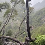 Photo taken by Kim P