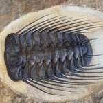 Photo taken by Charis U