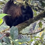 Photo taken by Patrice G