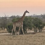 Photo taken by Joanne B