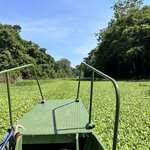 Photo taken by Sarah C