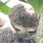 Photo taken by Martin L