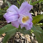 Photo taken by Patrice G