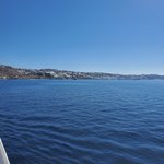 Photo taken by Patricia K