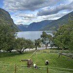 Photo taken by Mitzi F