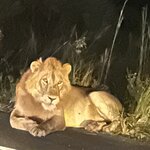 Photo taken by SHERI S