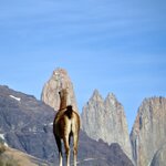 Photo taken by Stacy W