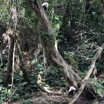 Photo taken by Nitin A