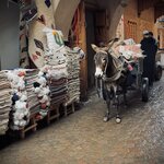 Photo taken by Colin M